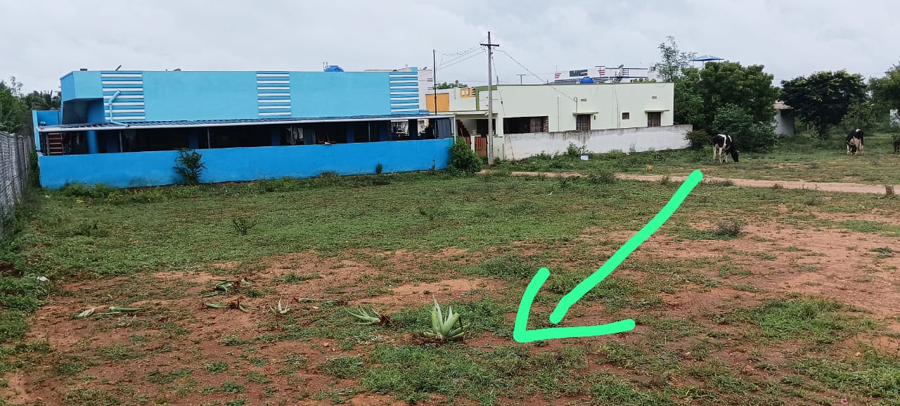 4.25 Cent Plots & Land for Sale in Malumichampatti
