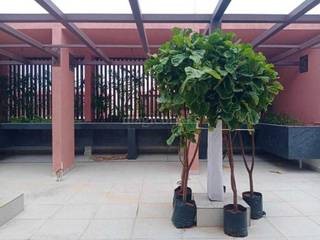 High Rise Apartment for Resale in Bachupally
