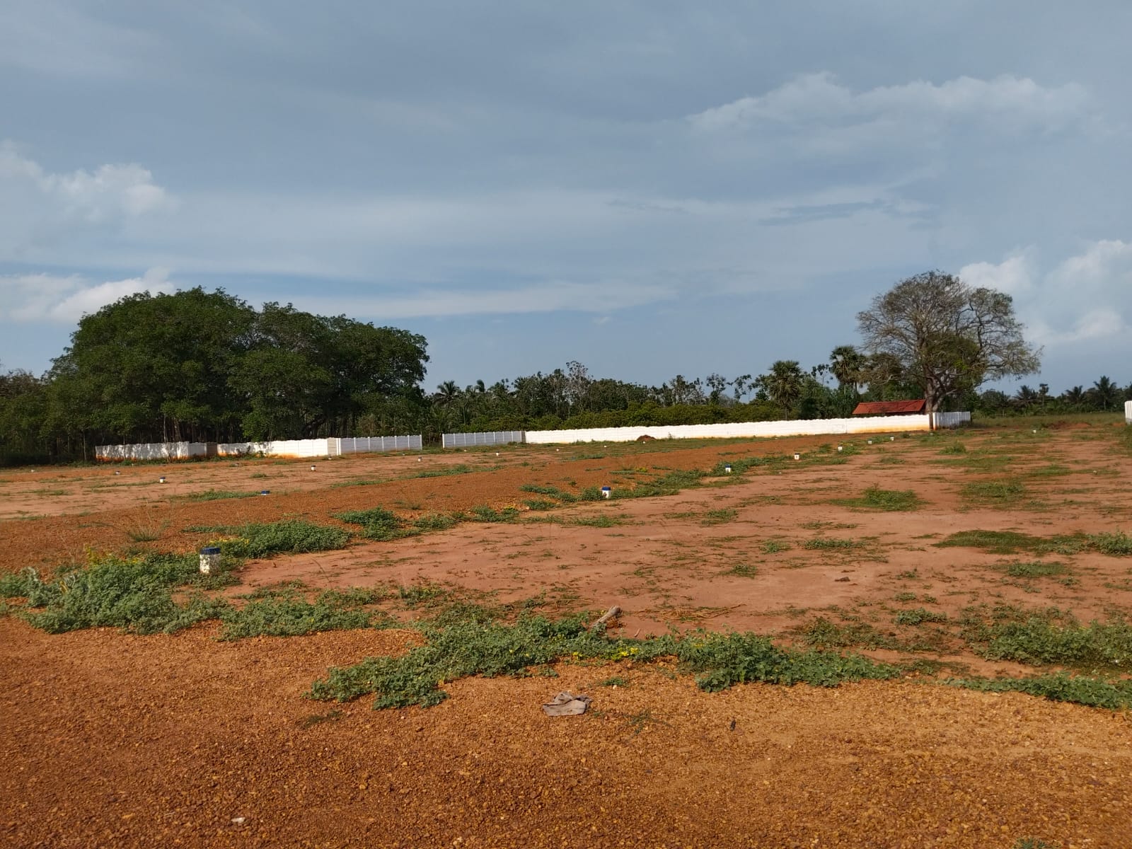 600 sqft Plots & Land for Sale in Nanjikottai