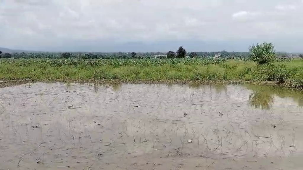 4840 Sq Yards Agricultural Land/Farm Land for Sale in Bullawala