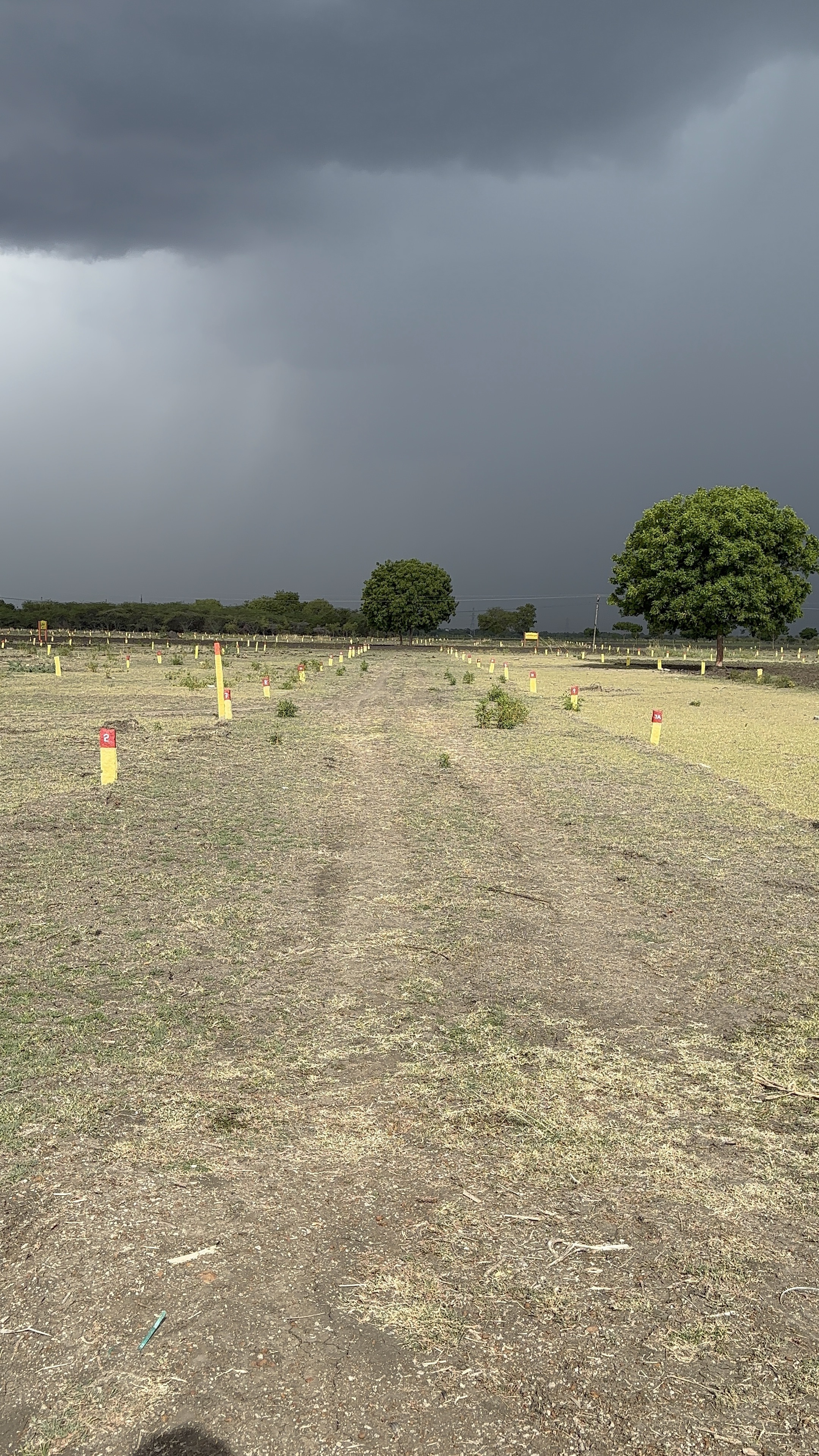 900 sqft Plots & Land for Sale in Tirumangalam