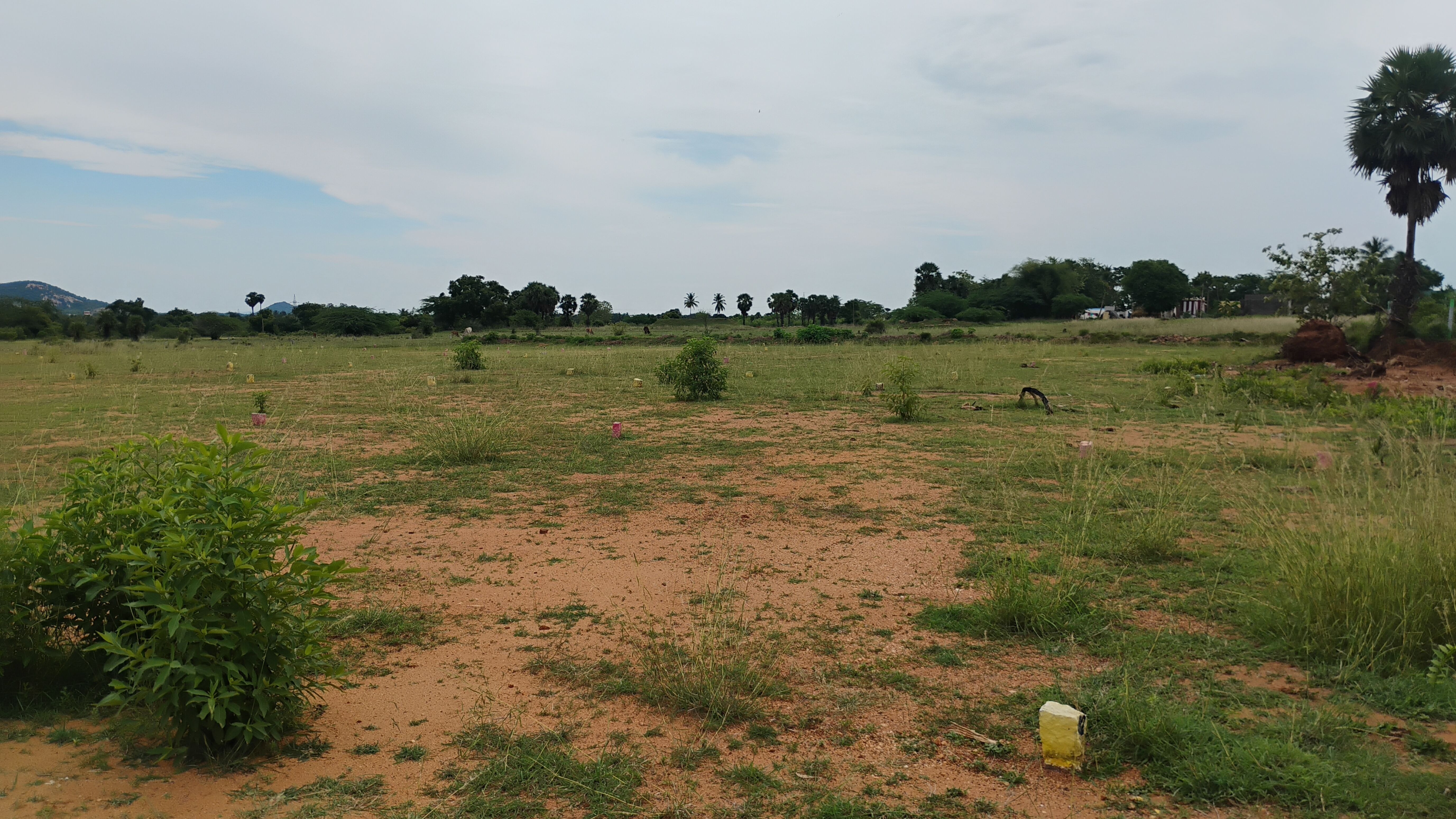 900 sqft Plots & Land for Sale in Guruvarajpet