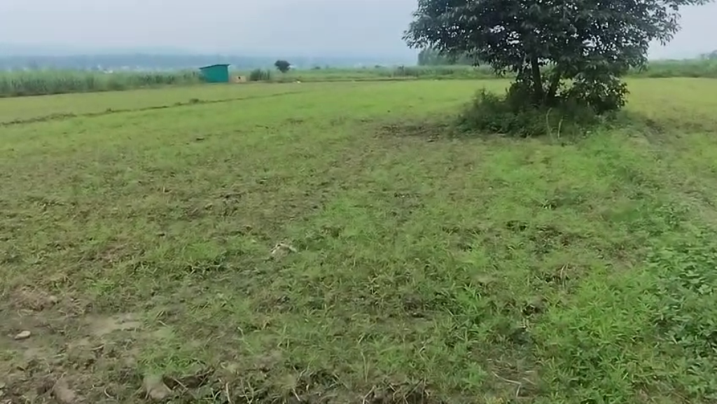 11616 Sq Yards Agricultural Land/Farm Land for Sale in Doiwala