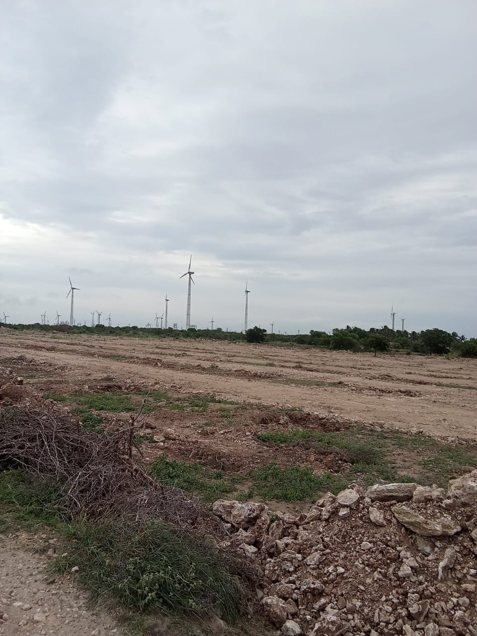 43560 sqft Plots & Land for Sale in Virupakshipuram