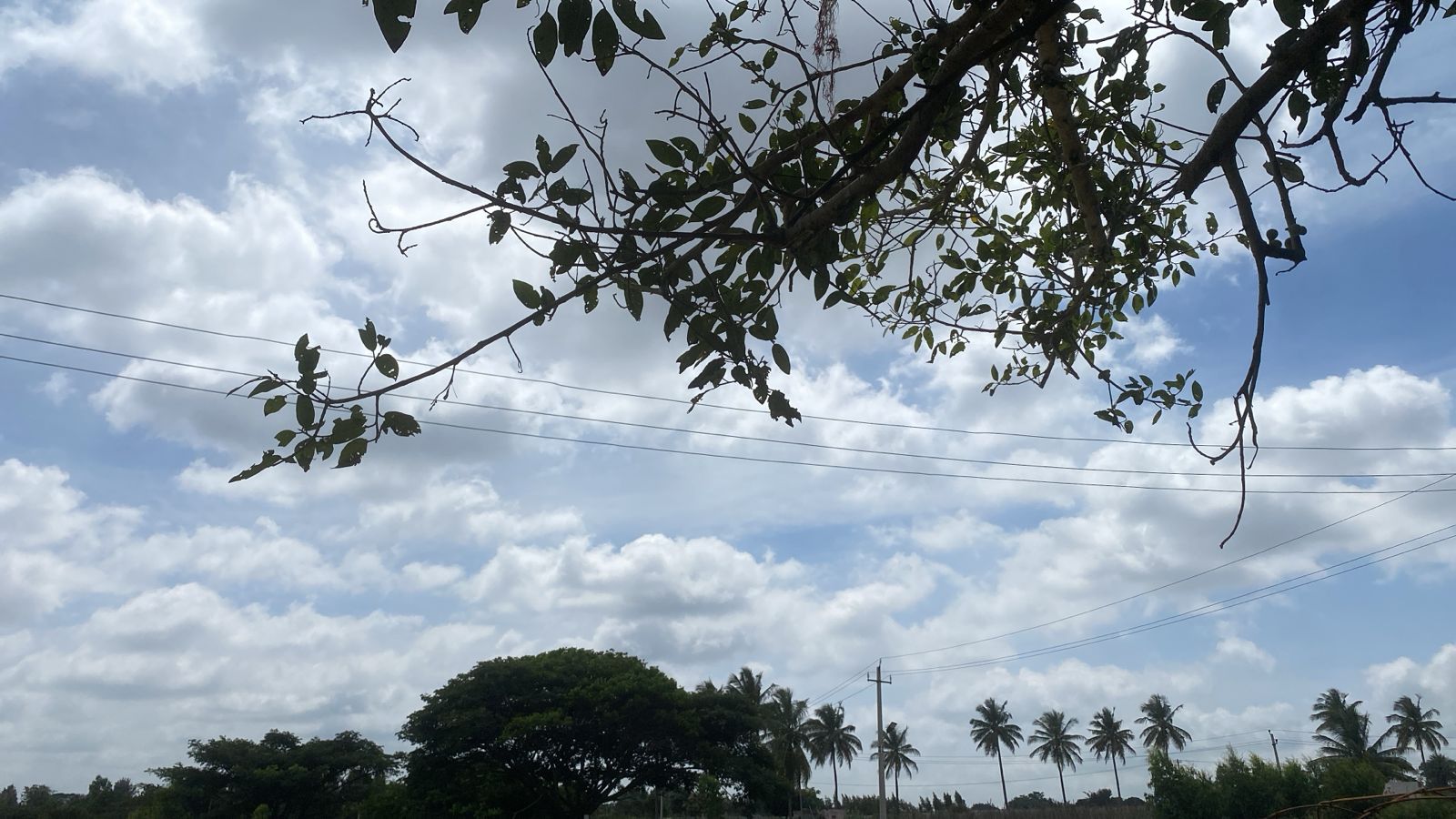 1200 sqft Plots & Land for Sale in Budigere