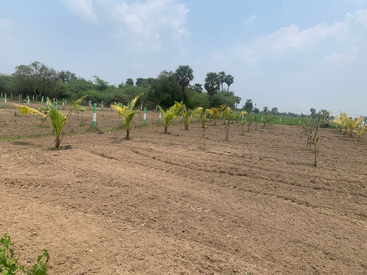 10000 sqft Agricultural Land/Farm Land for Sale in Vedanthangal