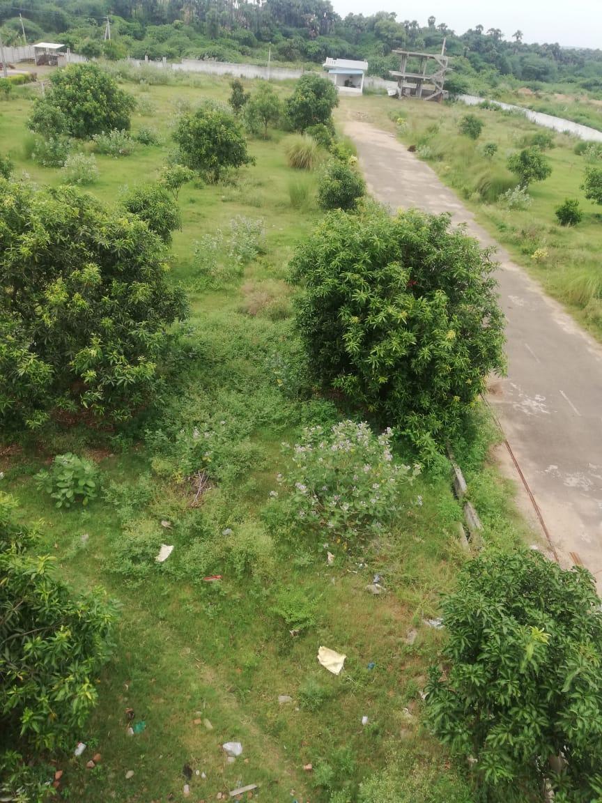 Independent Row House for Resale in Tagarapuvalasa