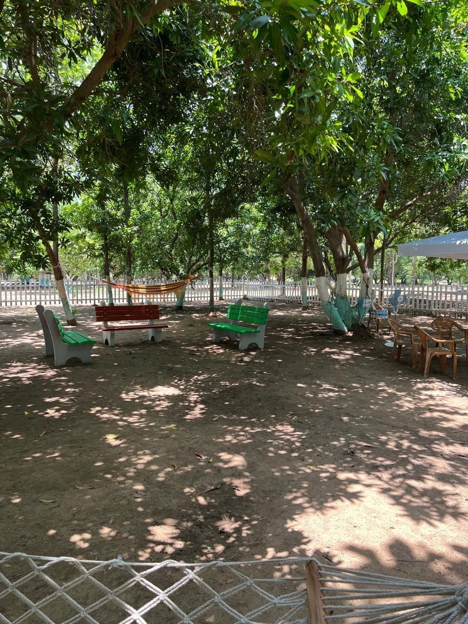 10000 sqft Agricultural Land/Farm Land for Sale in Singaperumal Koil