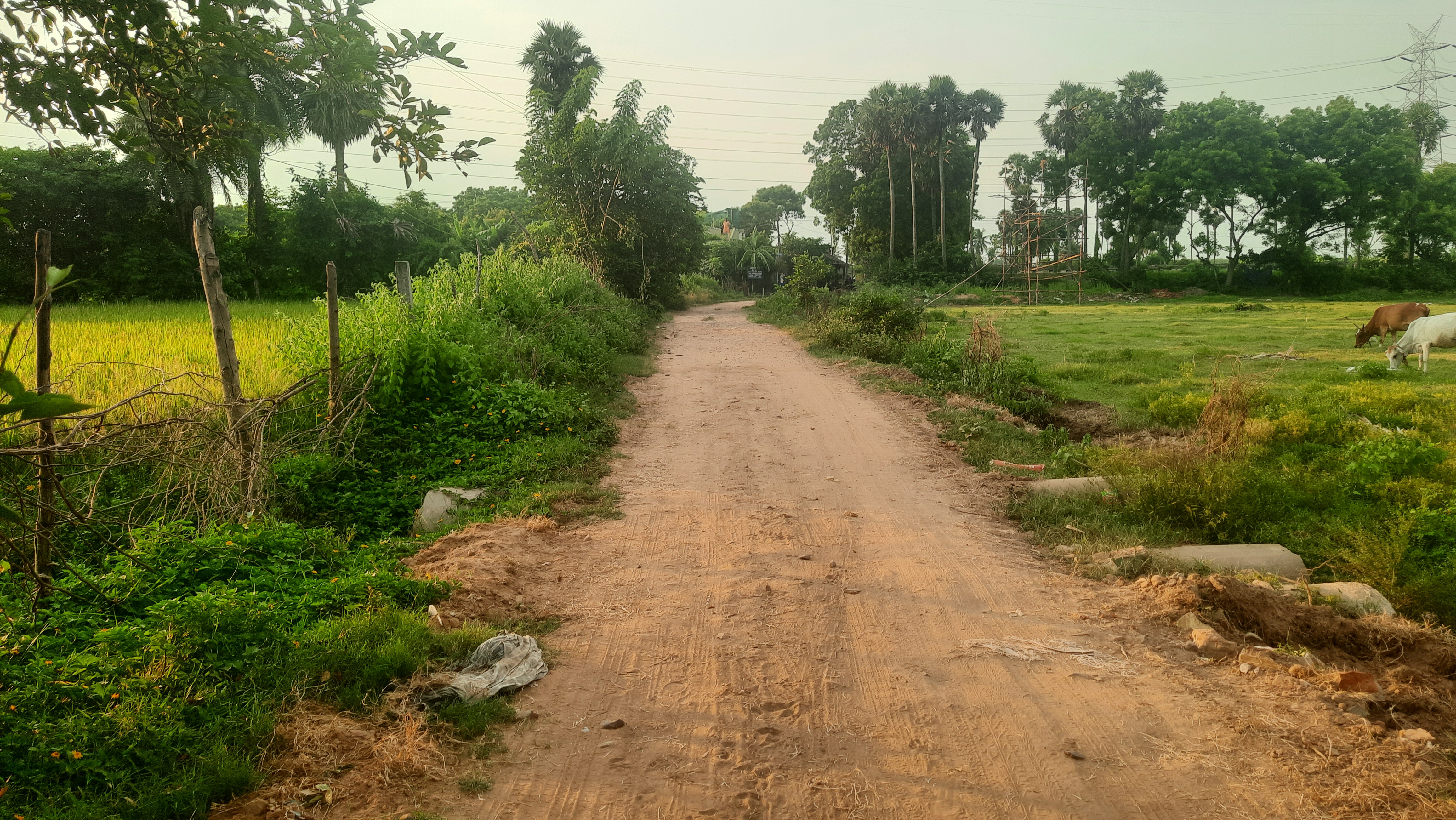 1.70 Acres Agricultural Land/Farm Land for Resale in Kakkalur