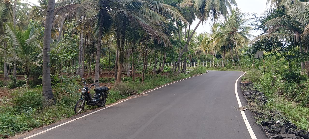 25 Cent Agricultural Land/Farm Land for Sale in Natham Road