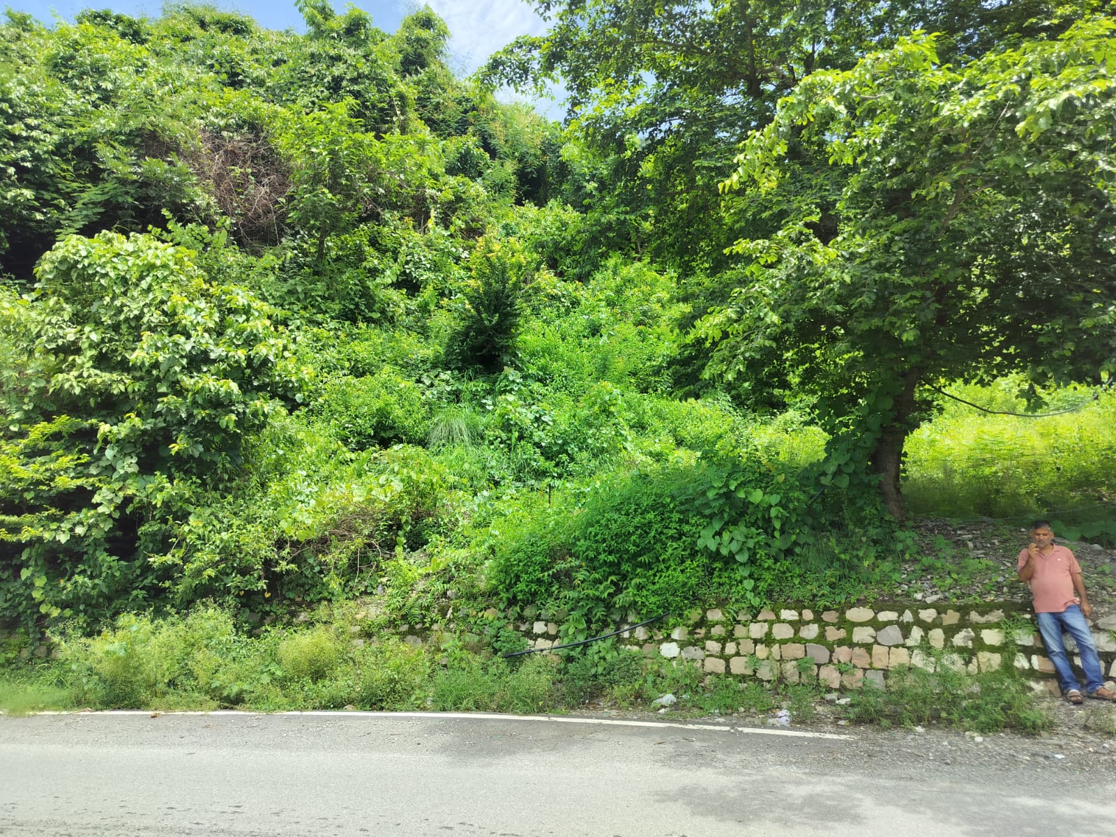 1936 Sq Yards Plots & Land for Sale in Arkediagrant