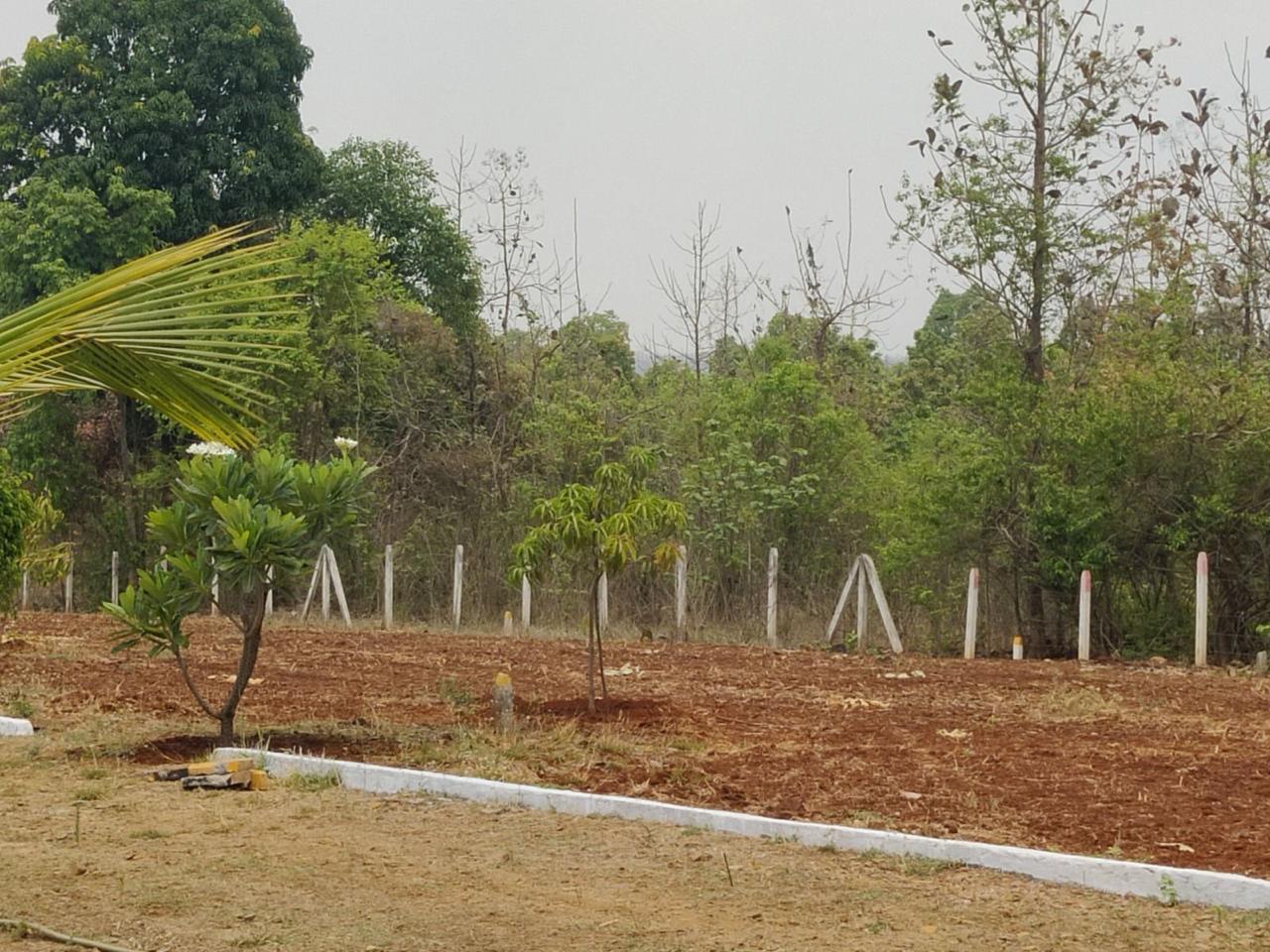 2000 sqft Plots & Land for Sale in Kolthan