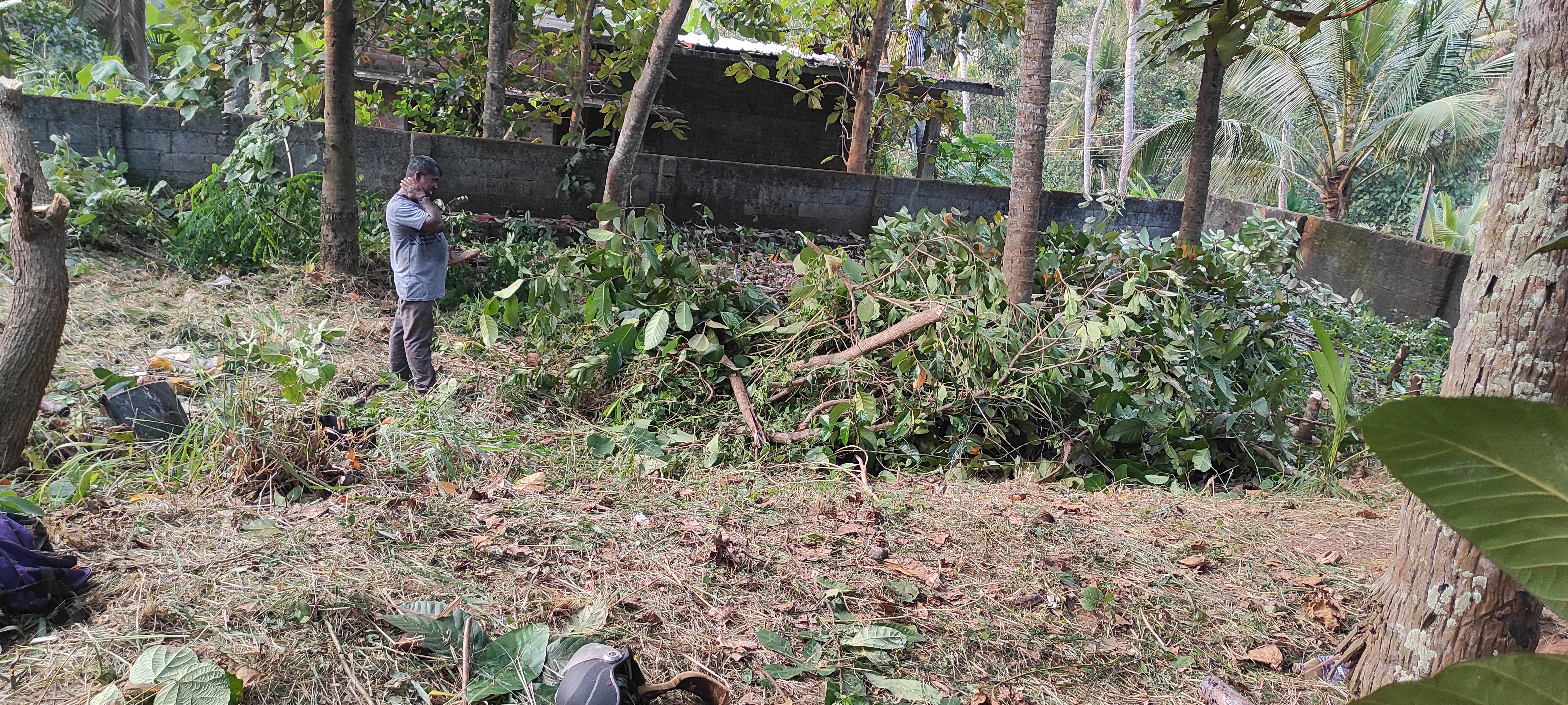 6 Cent Plots & Land for Sale in Vellayani