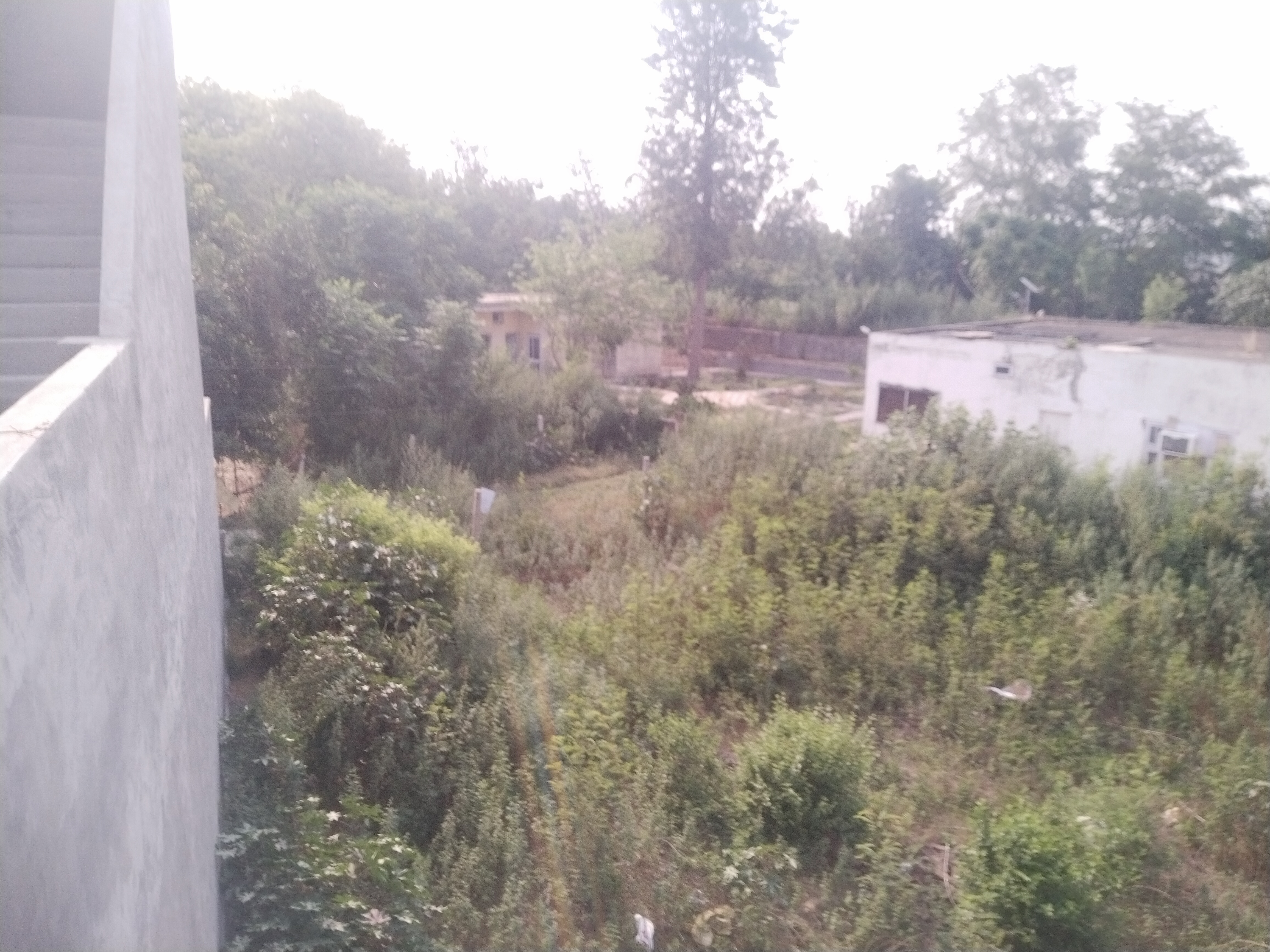  Plots & Land for Sale in Anandpur Sahib Chowk