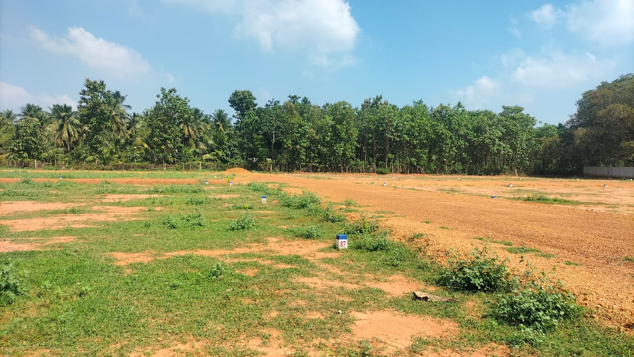 600 sqft Plots & Land for Sale in Nanjikottai