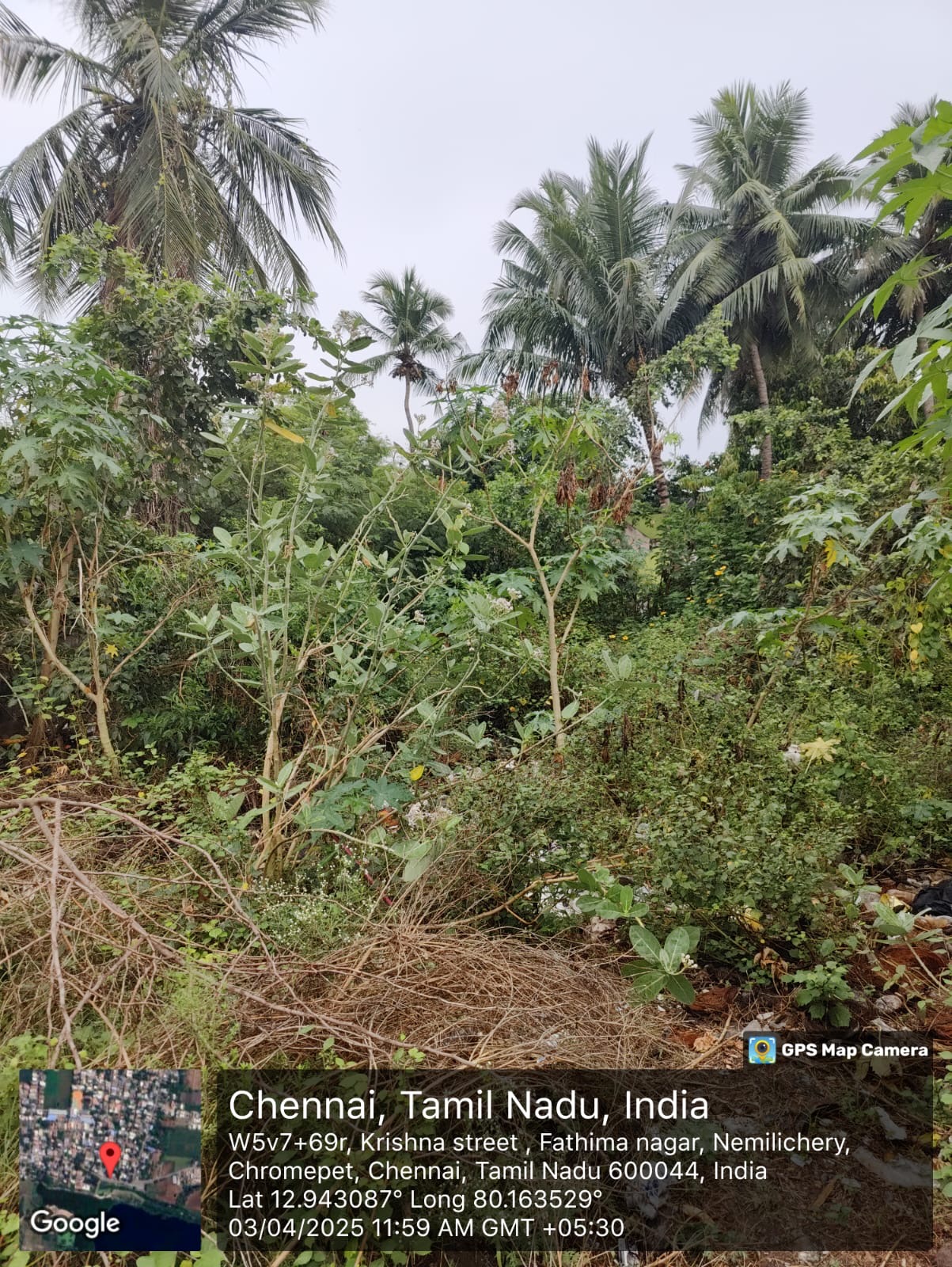 3290 sqft Plots & Land for Sale in Nemilichery