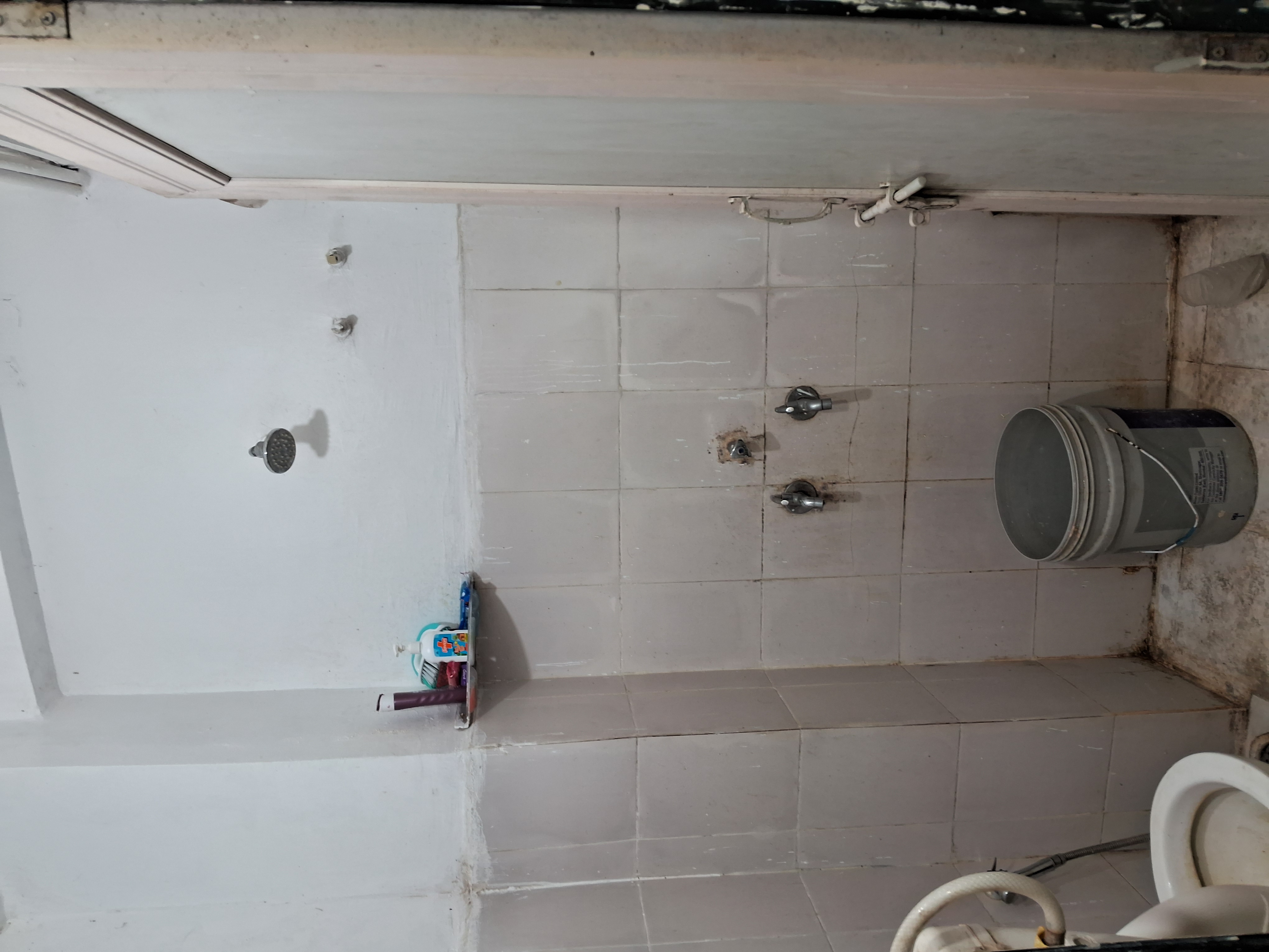 Residential Apartment for Rent Only in Arera Colony
